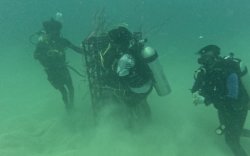 DKP Sulsel Bangun 1.657 Unit Apartemen Ikan, Nilai Ekonomi Diproyeksi Rp20,9 Miliar  Per Tahun