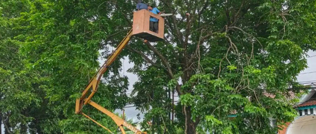 Antisipasi Pohon Tumbang, DLHP Takalar Pangkas Dahan di Jalan Sultan Hasanuddin