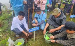 KPH Jeneberang Bantah Terjadi Perambahan Hutan di Gowa