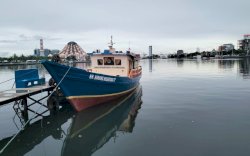 Munafri Realisasikan Janji Kampanye, Pete-pete Laut Layani Pulau Secara Gratis