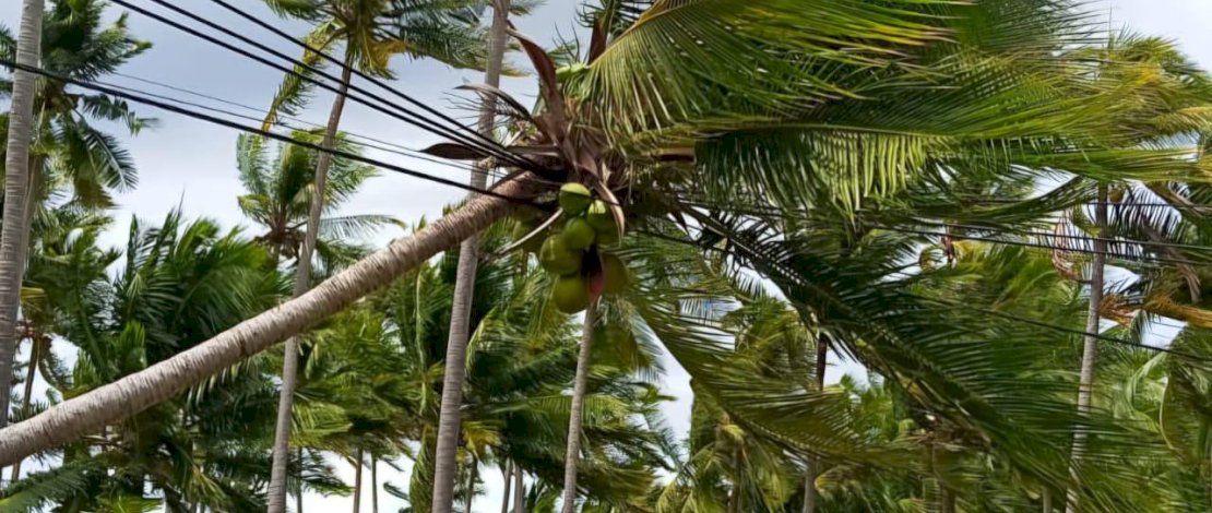 Hujan disertai angin kencang melanda sejumlah wilayah di Kabupaten Kepulauan Selayar pada Sabtu siang, 10 Januari 2026.