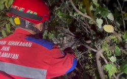 Ular Sepanjang 5 Meter Gegerkan Warga Tanjung Bunga Makassar