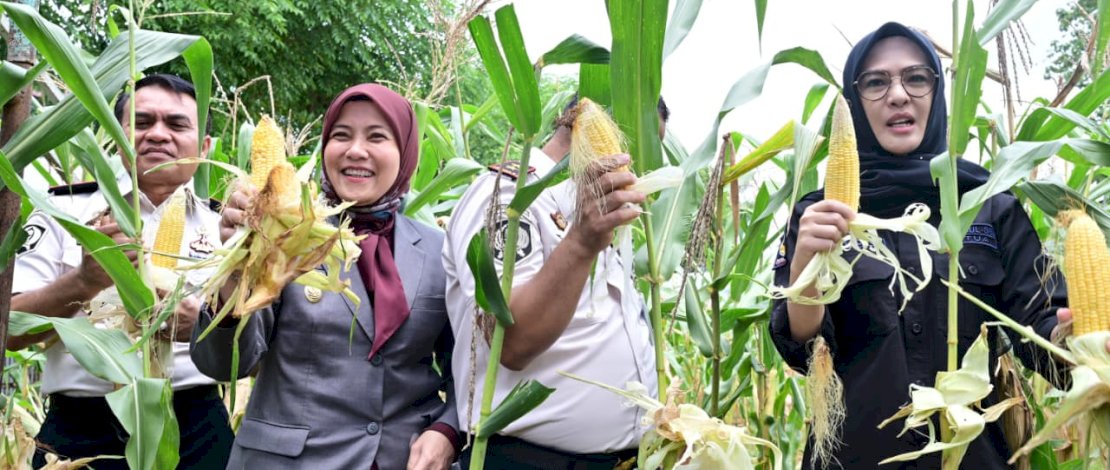Aliyah Mustika Ilham Hadiri Panen Raya di Lapas Kelas I Makassar, Dukung Pembinaan Kemandirian Warga Binaan