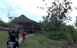 Polisi Gerebek Arena Judi Sabung Ayam di Kabupaten Bone