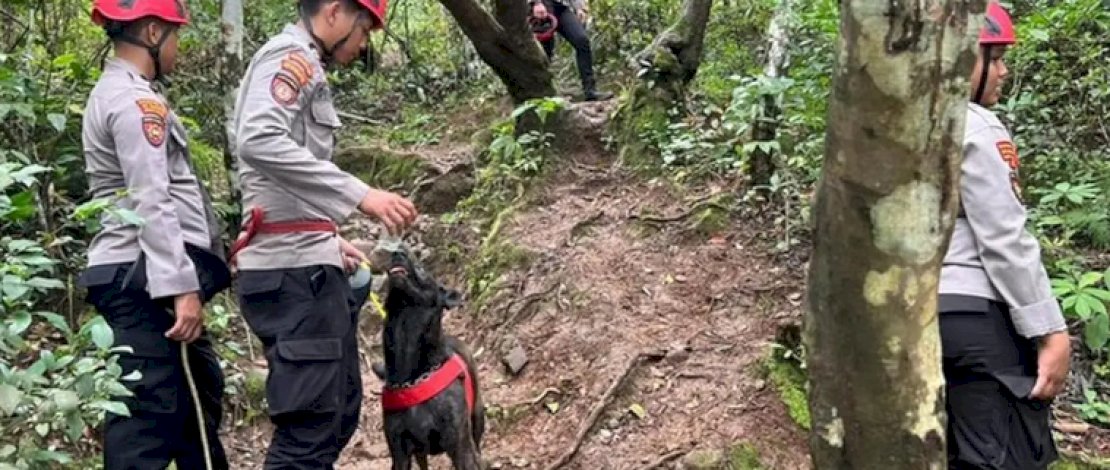 Anjing Pelacak K9 Bantu Tim SAR Sisir Serpihan Pesawat ATR 42-500