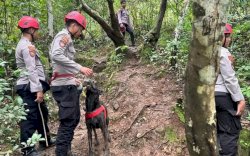 Anjing Pelacak K9 Bantu Tim SAR Sisir Serpihan Pesawat ATR 42-500