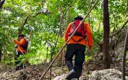 Basarnas Lanjutkan Pencarian Lansia yang Tersesat di Hutan Alasa Selayar