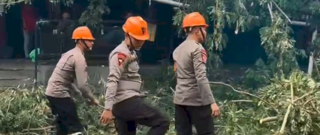 Tim SAR Batalyon A Pelopor membantu evakuasi pohon tumbang di Jalan Veteran Selatan, Kota Makassar.