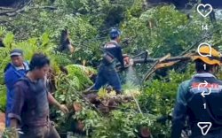 Cuaca Ekstrem, 102 Pohon Tumbang di Makassar Sepanjang Bulan Januari 2026