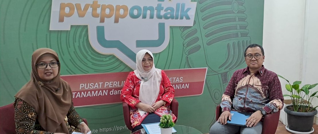 Kepala Pusat Perlindungan Varietas Tanaman dan Perizinan Pertanian (PPVTPP), Leli Nuryati dalam diskusi spesial edisi PVTPP On Talk di Jakarta, Jumat, 6 Maret 2026.
