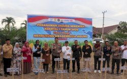 Pemkab Luwu Utara dan Polri Perkuat Ketahanan Pangan Lewat Tanam Jagung Serentak