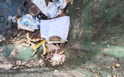 Bikin Geger, Granat Nanas Ditemukan di Tong Sampah Masjid BPN Makassar