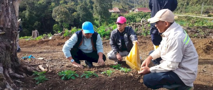 Perkuat Ketahanan Pangan, Bupati Tinjau Pengembangan Bibit Kentang di Dataran Tinggi Mabusa