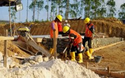 Disnakertrans Luwu Timur Pastikan Tenaga Kerja Lokal Terserap di Industri Pertambangan