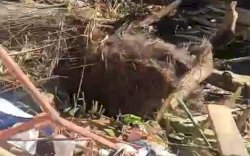 Pohon Tumbang Timpa Tenda Hajatan di Bone, Ibu Pengantin Tewas, Lima Luka-luka