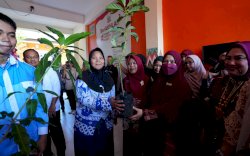 TP PKK Sulsel Edukasi Pelajar di Wajo Lewat Program &ldquo;Go to School&rdquo;, Salurkan Bibit dan Tempat Sampah Pilah