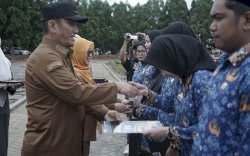 Kabar Gembira, Pemkab Luwu Timur Takkan Rumahkan PPPK