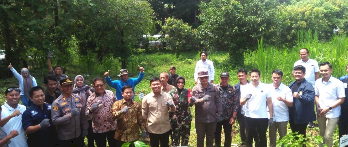 Target Mandiri Kopi, Parepare Tanam 10.000 Bibit Robusta di Lahan Hutan