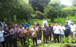 Target Mandiri Kopi, Parepare Tanam 10.000 Bibit Robusta di Lahan Hutan