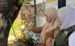 Camat Ujung Pandang: Lorong dan Pinggir Jalan Kami Manfaatkan untuk Ketahanan Pangan