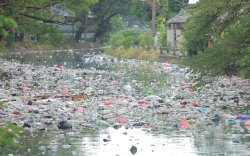 Sampah Menumpuk di Kanal Belakang Masjid Al Markas, Warga Resah Bau Menyengat