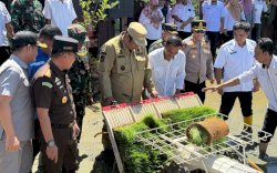Bupati Maros Turun ke Sawah: Tanam Padi Serentak Jadi Strategi Lawan Hama dan Gagal Panen