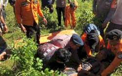 Dilaporkan Hilang, Lansia 83 Tahun di Bone Ditemukan dalam Kondisi Lemas di Semak-semak