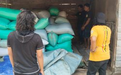 Curi Delapan Karung Gabah dan Tabung Gas Elpiji, Buruh Asal Palakka Bone Ditangkap 