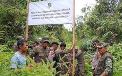 Pemkab Luwu Timur Kembali Tegaskan Lahan yang Disewa PT IHIP Aset Daerah
