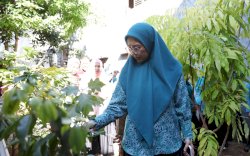 Ketua TP PKK Makassar Turun Langsung Tinjau Kebun Aku Hatinya PKK di Kecamatan Ujung Pandang