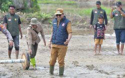 Perkuat Lumbung Pangan, Luwu Utara Targetkan 1.660 Hektare Sawah Baru di Tahun 2026