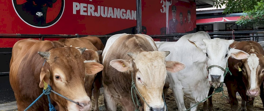 Ketua DPD PDIP Sulsel ARW Distribusikan 45 Hewan Kurban ke Sejumlah Daerah