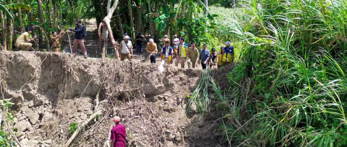 Bupati Pinrang, A Irwan Hamid, saat meninjau abrasi yang mulai menggerus tanggul saluran di Dusun Cilallang, Desa Bababinanga, Kecamatan Duampanua, Senin, 25 Mei 2026.