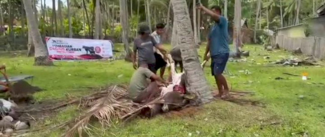 PSI Kepulauan Selayar melaksanakan kegiatan kurban dengan menyembelih dan menyalurkan dua ekor sapi kurban kepada masyarakat.