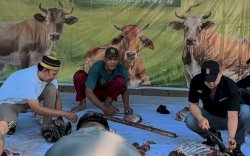 MaxOne Hotel Makassar Tebar Semangat Berbagi di Idul Adha, Salurkan Ratusan Paket Daging Kurban