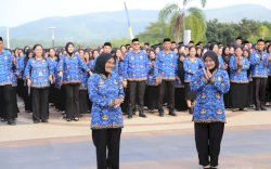 Kisah Saudari Kembar hingga Tiga Bersaudara Sukses Lulus Seleksi PNS Bersama di Luwu Timur 