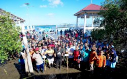Gubernur Sulsel Tanam 1.000 Mangrove di Selayar Peringati Hari Lingkungan Sedunia, Ajak Warga Hijaukan Pesisir