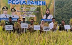 Pesta Panen di Bacukiki, Pemkot Parepare Tegaskan Komitmen Perkuat Ketahanan Pangan dan Kesejahteraan Petani