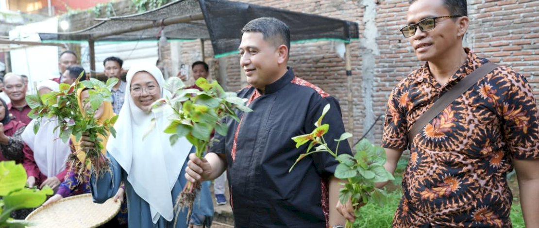 Wali Kota Makassar, Munafri Arifuddin, didampingi Ketua TP PKK Kota Makassar, Melinda Aksa, melakukan kunjungan ke lokasi Urban Farming sekaligus panen bersama warga di Kelurahan Tammua, Kecamatan Tallo, Jumat, 19 Juni 2026.
