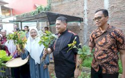 Wali Kota Makassar Apresiasi Inovasi Urban Farming di Tammua, Terintegrasi dengan Sentra Tukar Sampah