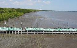 Lakukan Aksi Penanaman Mangrove, Komunitas Peduli Lingkungan Bentangkan Spanduk Penolakan Reklamasi Pesisir Lantebung-Untia