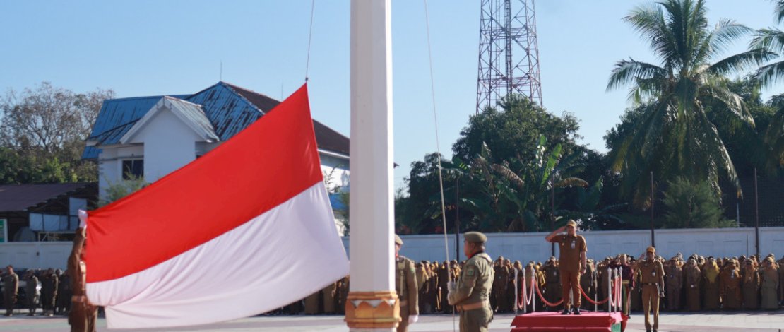 Harganas ke-33 di Takalar, Sekda Ajak Perkuat Ketahanan Keluarga Sambut Bonus Demografi Menuju Indonesia Emas 2045