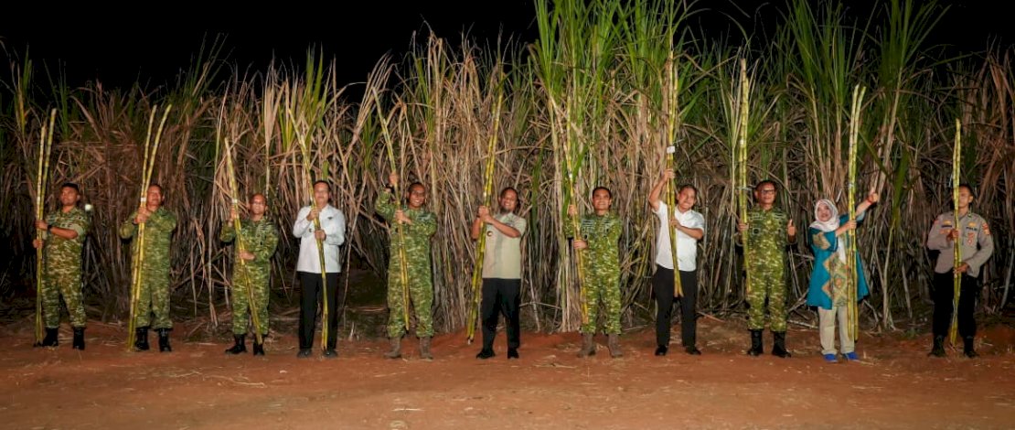 Panen Raya Tebu Bersama Presiden, Gubernur Sulsel Apresiasi Peran TNI Wujudkan Swasembada Pangan