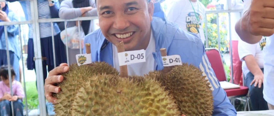 Bukan Sekadar Klaim: 4 Alasan Luwu Utara Layak Disandang 'Surganya Durian' di Sulawesi Selatan