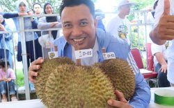 Bukan Sekadar Klaim: 4 Alasan Luwu Utara Layak Disandang 'Surganya Durian' di Sulawesi Selatan