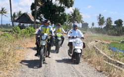 Selamatkan Ratusan Hektar Sawah Terdampak Kemarau, Pemkab Sidrap Optimalkan Danau Sidenreng Jadi Pasokan Irigasi Taktis