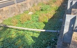  Aduan Warga via Lontara Plus Direspons, PU Makassar Normalisasi Saluran di Jalan Pengayoman