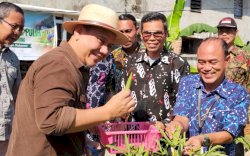 Fadli Padi Reborn Kunjungi Urban Farming Disabilitas di Makassar, Panen Okra hingga Nyanyikan &ldquo;Kasih Tak Sampai&rdquo;