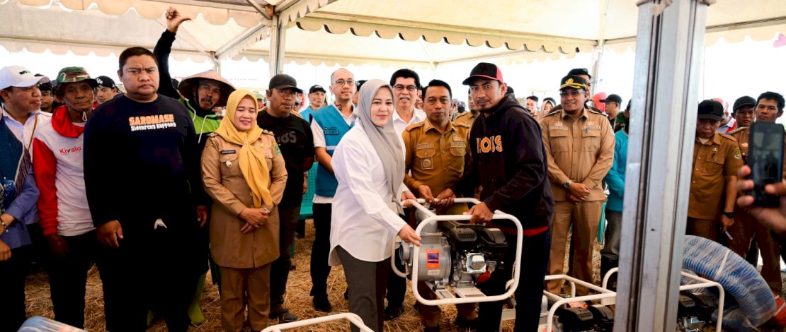 Panen Padi 10,4 Ton per Hektare, Wagub Sulsel Dukung Penguatan Pertanian Modern di Sidrap