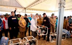 Panen Padi 10,4 Ton per Hektare, Wagub Sulsel Dukung Penguatan Pertanian Modern di Sidrap